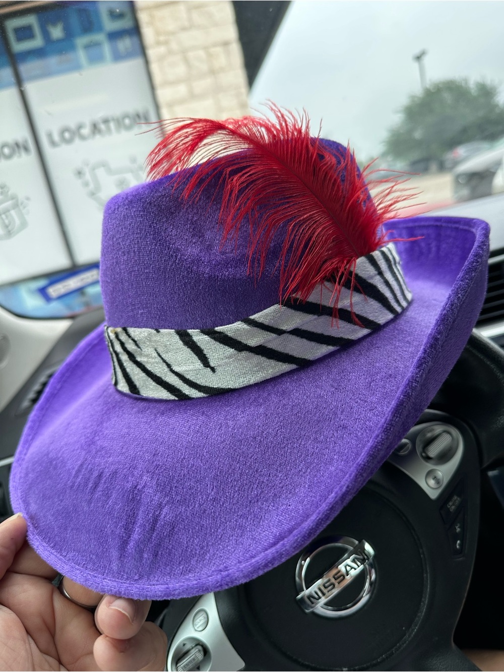 Pimp Martigrow Purple Felt Feather Band Unisex Fashion Hat